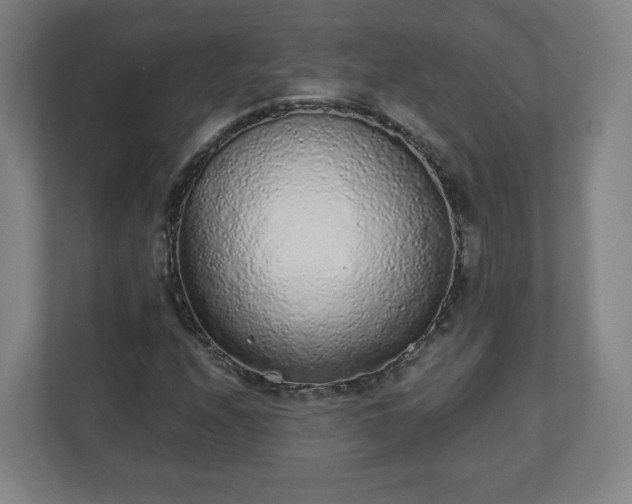 X0000110881208200906251242