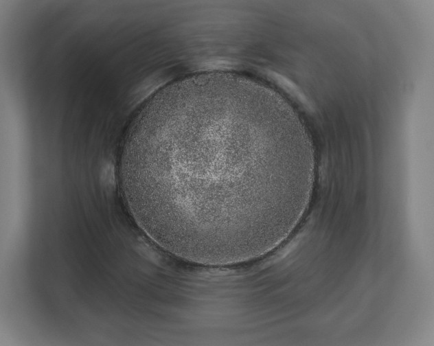 X0000110881209200906251242
