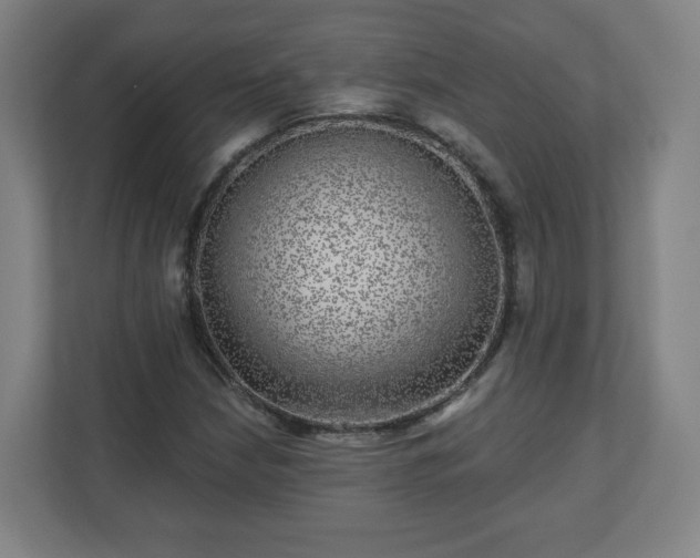 X0000110881210200906251242