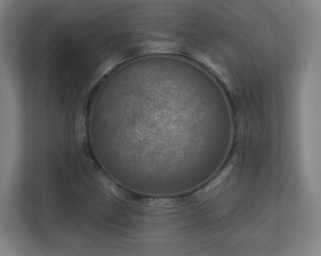X0000110881211200906251242