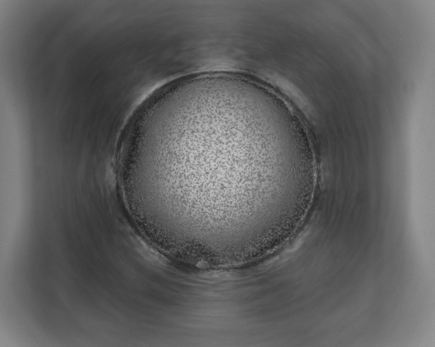 X0000110881212200906251242