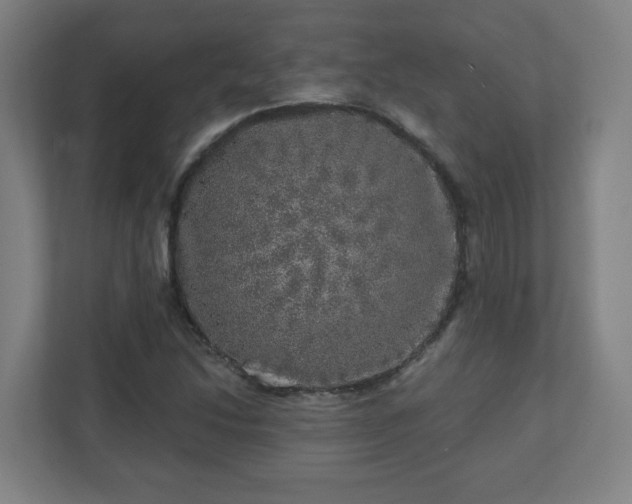 X0000110881214200906251242