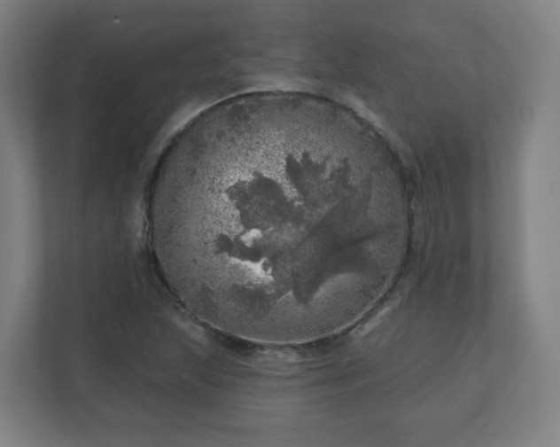 X0000110881215200906251242