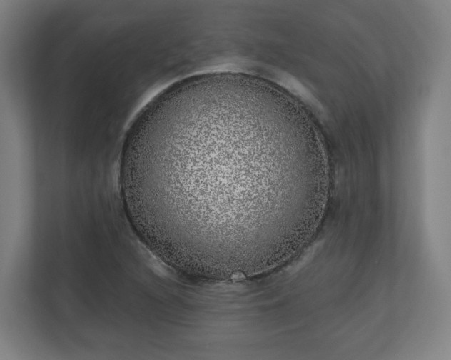 X0000110881216200906251242
