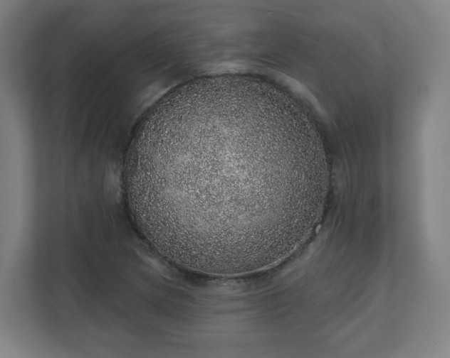 X0000110881217200906251242