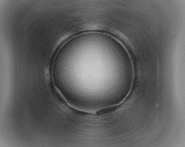 X0000110881218200906251242
