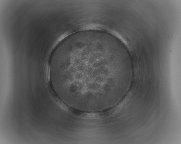 X0000110881219200906251242