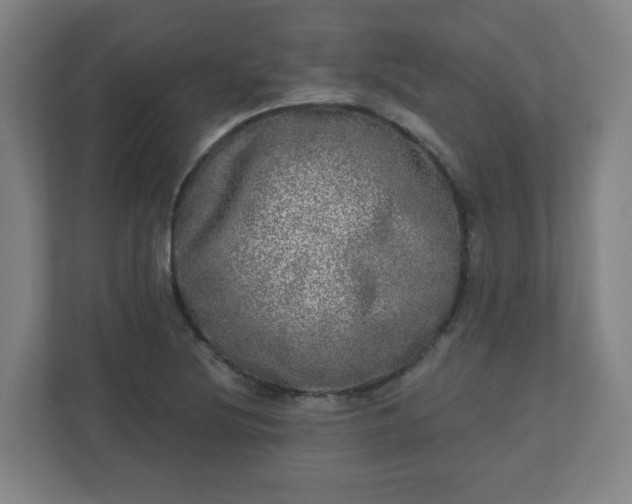 X0000110881220200906251242