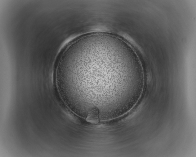X0000110881222200906251242