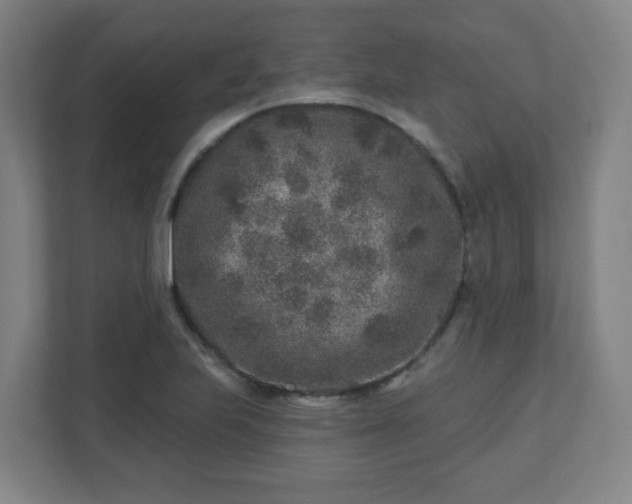 X0000110881223200906251242