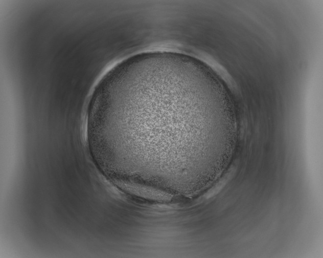 X0000110881224200906251242