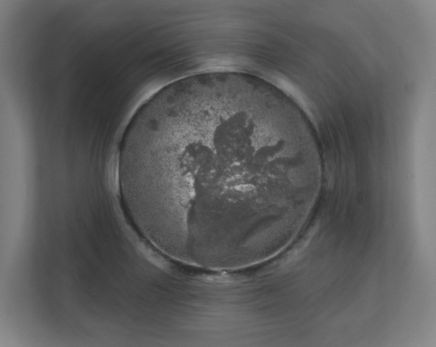 X0000110881227200906251242