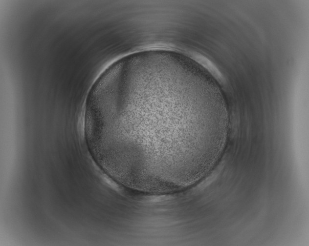 X0000110881228200906251242