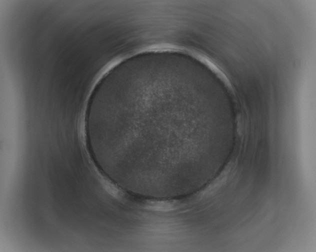 X0000110881229200906251242
