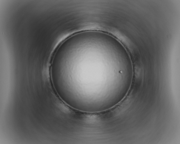 X0000110881230200906251242