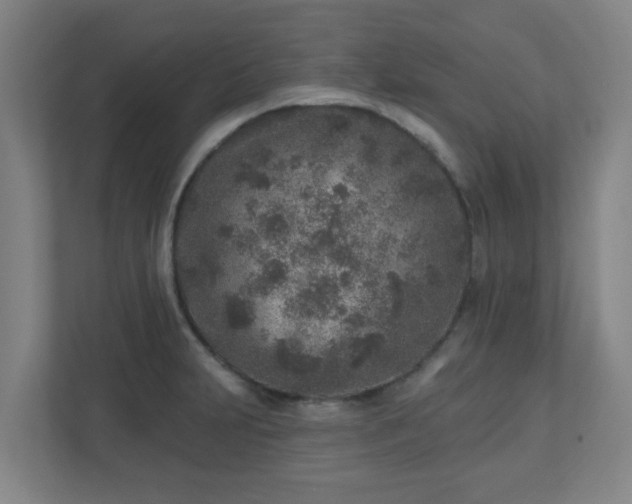 X0000110881231200906251242