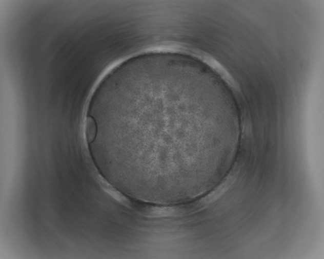 X0000110881232200906251242