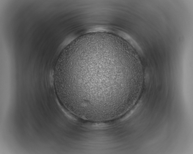 X0000110881233200906251242