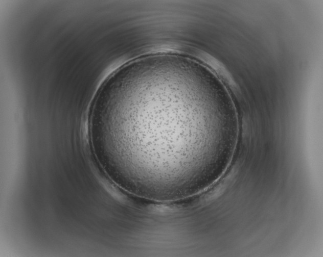 X0000110881234200906251242