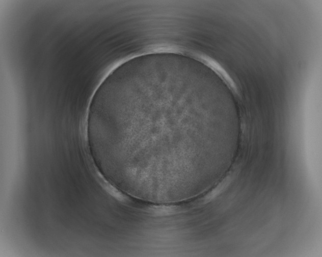 X0000110881236200906251242