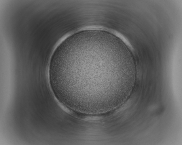 X0000110881237200906251242