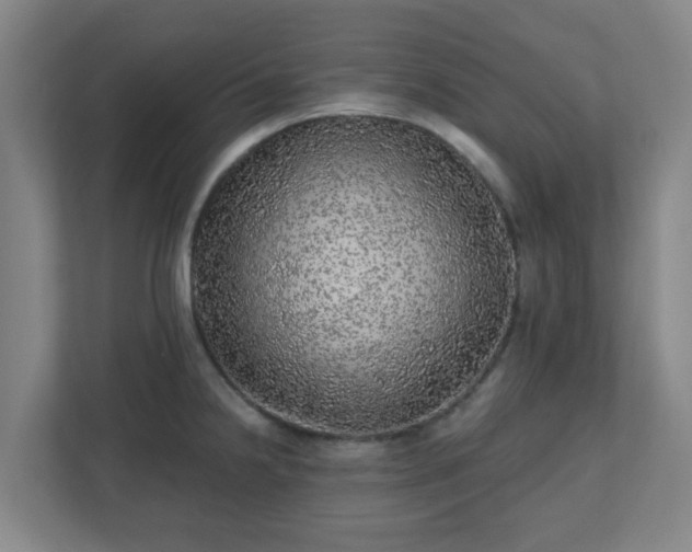X0000110881238200906251242