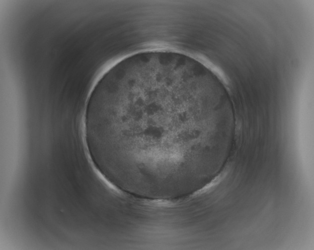 X0000110881239200906251242