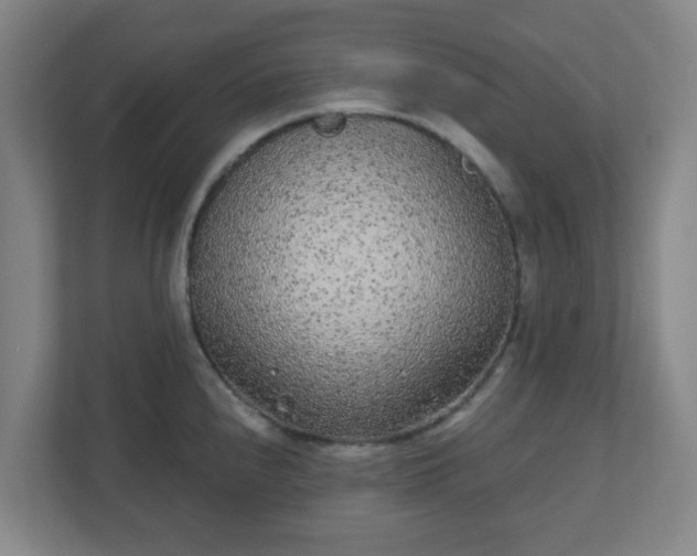 X0000110881240200906251242