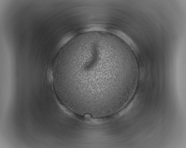 X0000110881241200906251242
