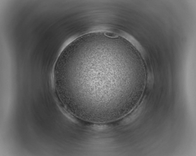 X0000110881242200906251242