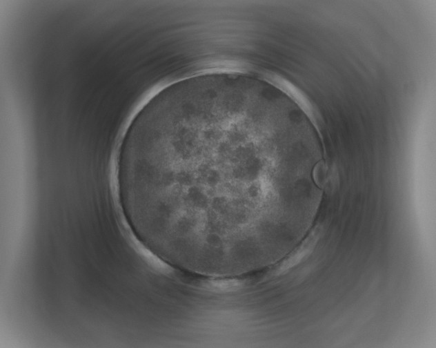 X0000110881243200906251242