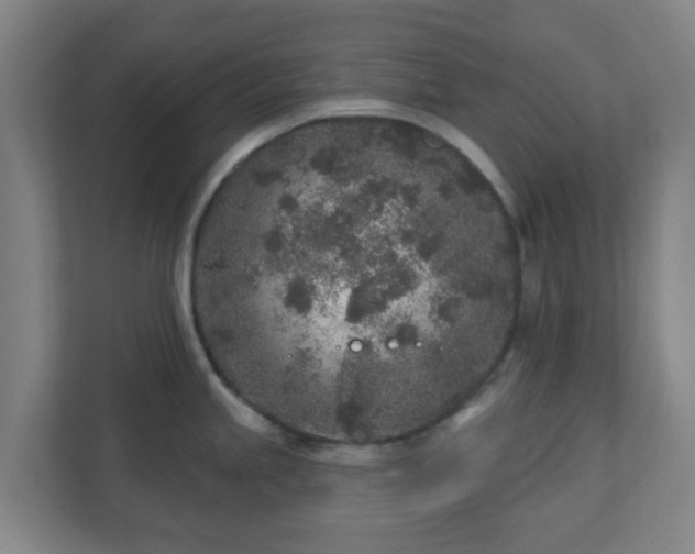 X0000110881245200906251242