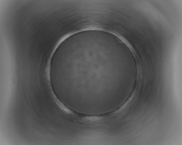 X0000110881246200906251242
