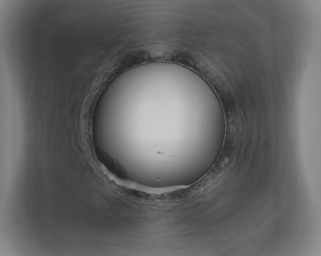 X0000110881249200906251242