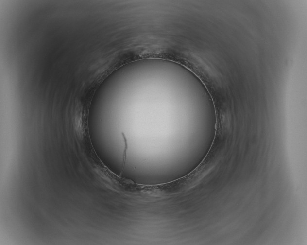 X0000110881250200906251242