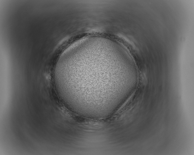 X0000110881254200906251242