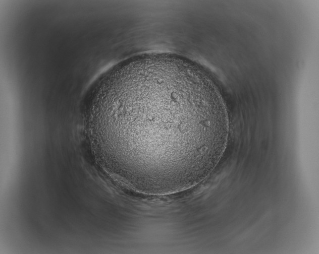 X0000110881255200906251242