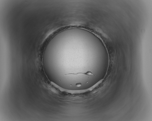 X0000110881256200906251242