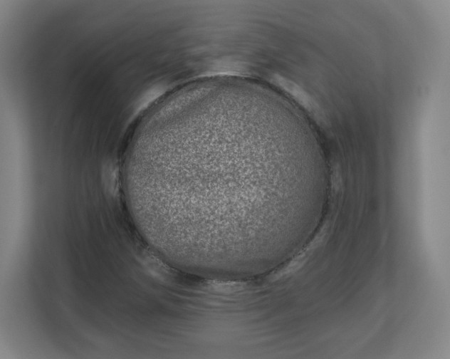 X0000110881258200906251242