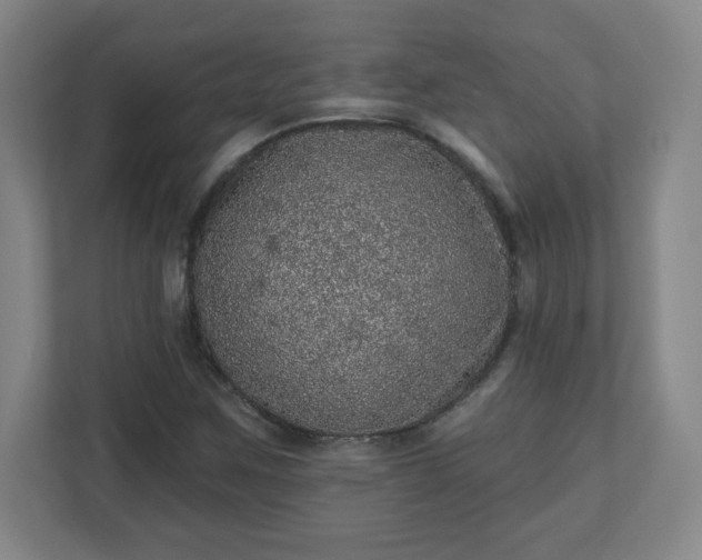 X0000110881259200906251241