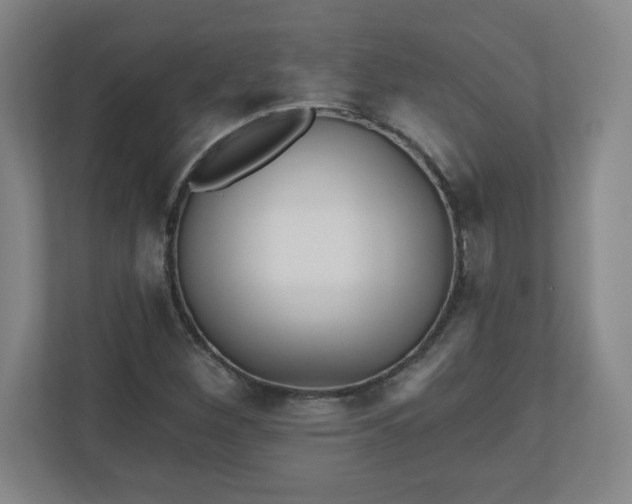 X0000110881260200906251241