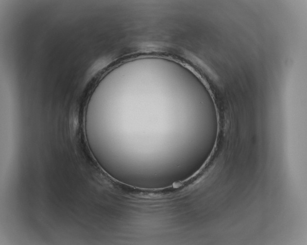 X0000110881261200906251241