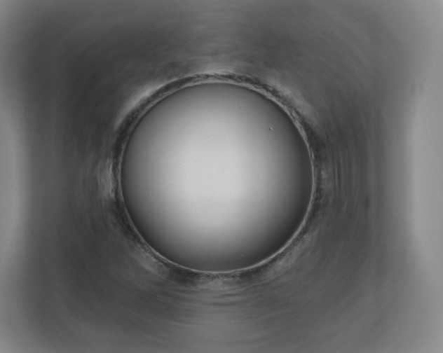 X0000110881262200906251241