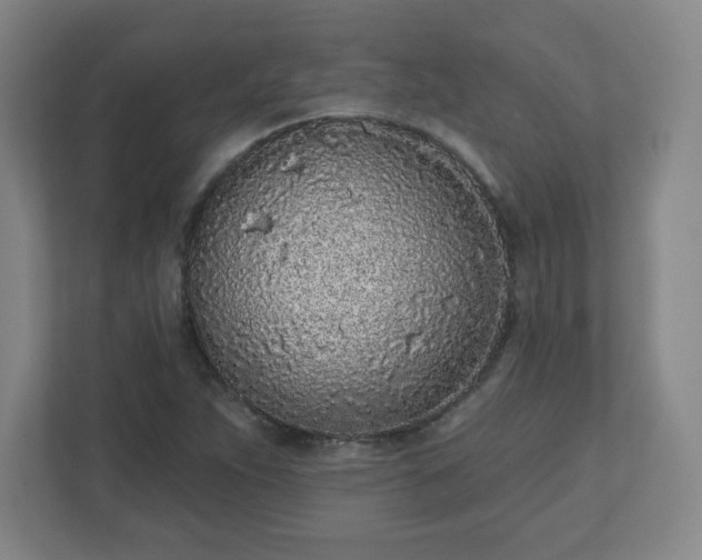 X0000110881263200906251241