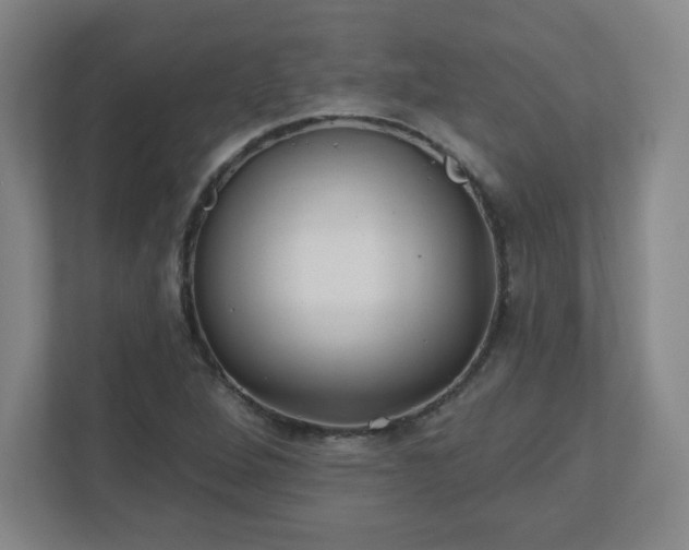 X0000110881264200906251241