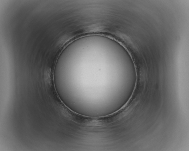 X0000110881265200906251241