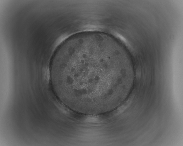 X0000110881267200906251241