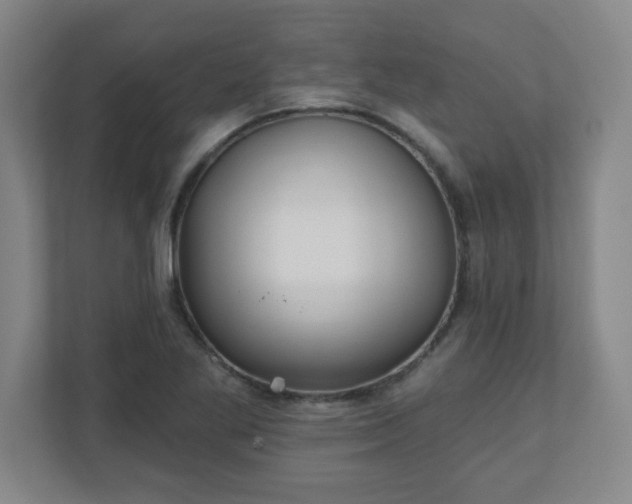X0000110881269200906251241