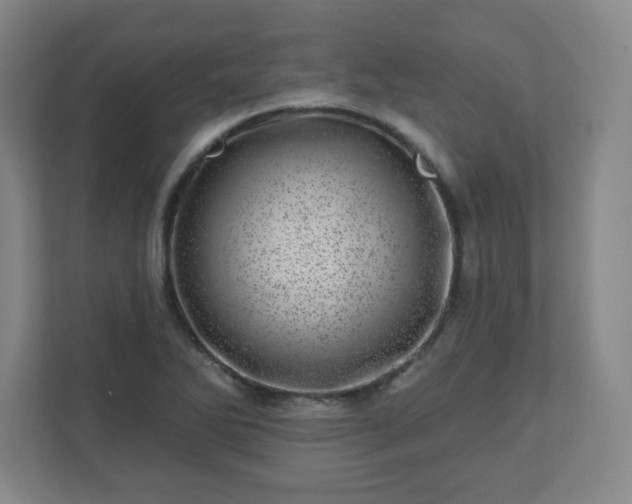 X0000110881270200906251241