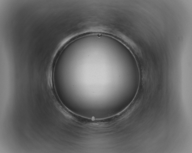 X0000110881272200906251241